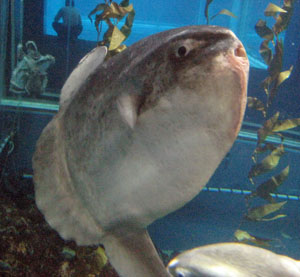 2008 06 11_03.jpg