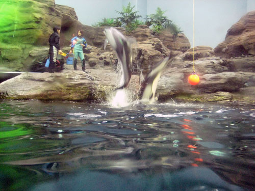 2008 06 11_04.jpg