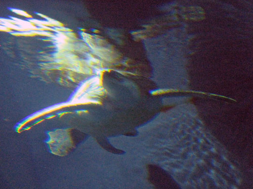 2008 06 11_05.jpg