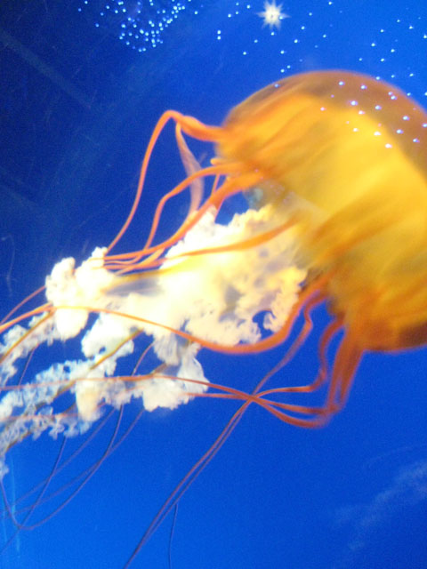 2008 06 11_08.jpg