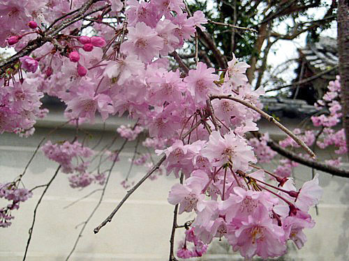 IMG_0386_edited-1.JPG