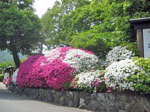 arashiyama_07.JPG
