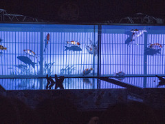 _B050039