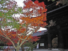 南禅寺～2008京都の紅葉