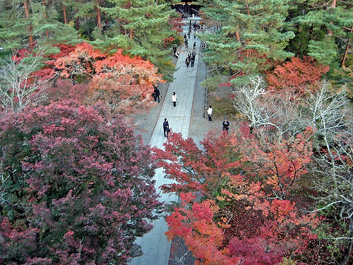 紅葉の絶景