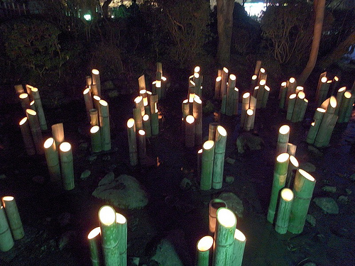 竹灯り・幽玄の川