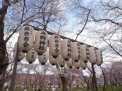 平野神社の桜2009