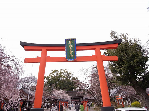 平野神社の桜2009