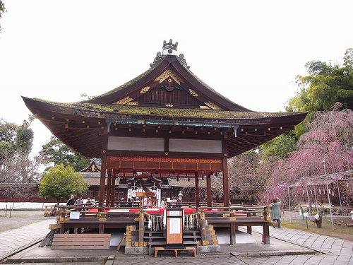 平野神社の桜2009