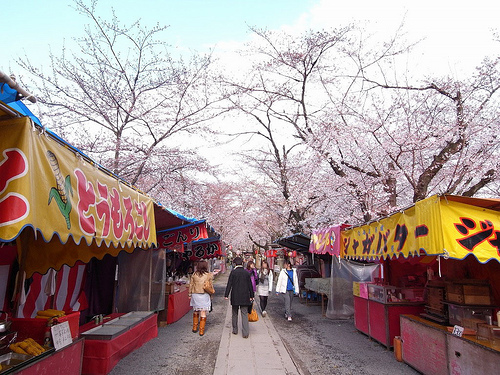 平野神社の桜2009