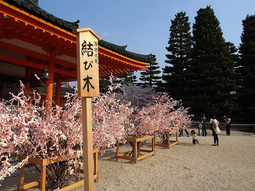 桜みくじ