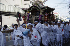 瑞饋神輿（ずいきみこし）