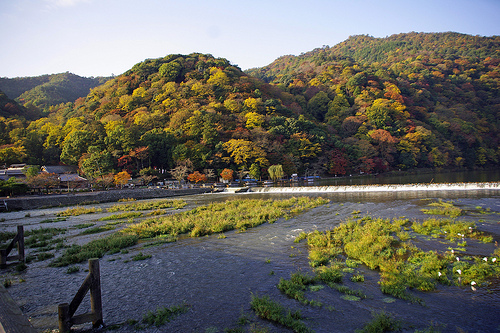 山肌