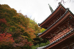 三室戸寺