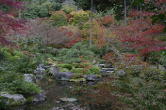 池泉庭園