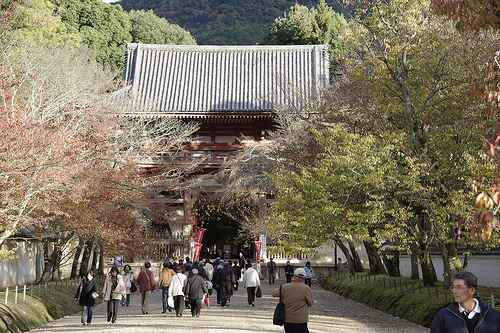 醍醐寺の仁王門