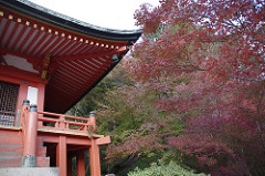 醍醐寺の大講堂