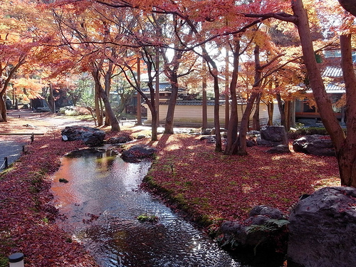 しょうざん光悦芸術村