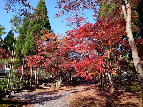 しょうざん光悦芸術村