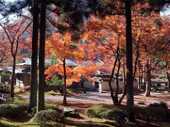 しょうざん光悦芸術村