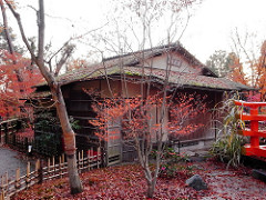 御土居の紅葉