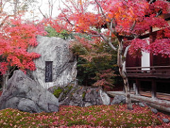 御土居の紅葉