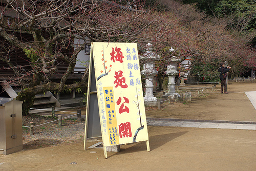 梅は咲いたか天神さん