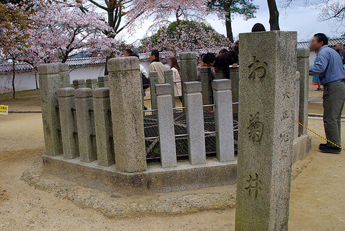 姫路城の桜