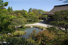 御室仁和寺ほぼ葉桜