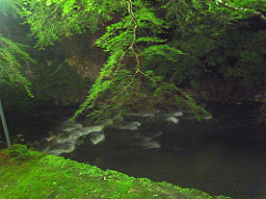 高雄の川床とホタル