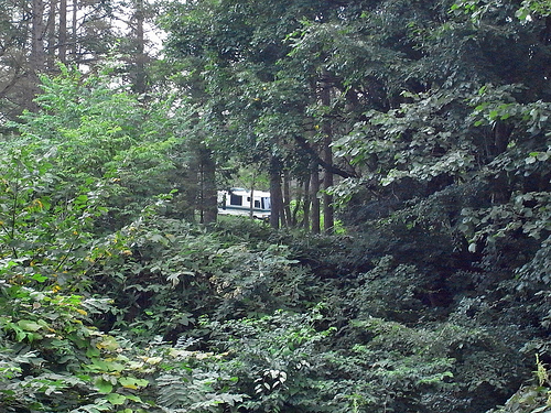 富良野・風のガーデン