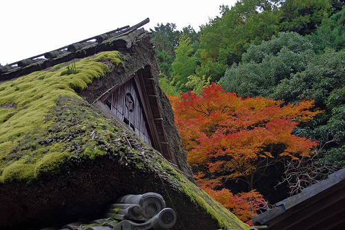 嵯峨鳥居本