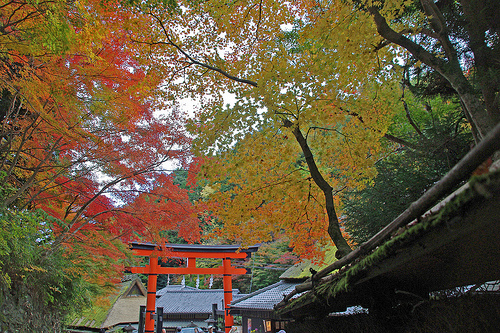 嵯峨鳥居本