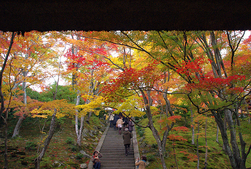 常寂光寺