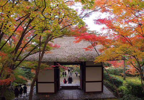 常寂光寺