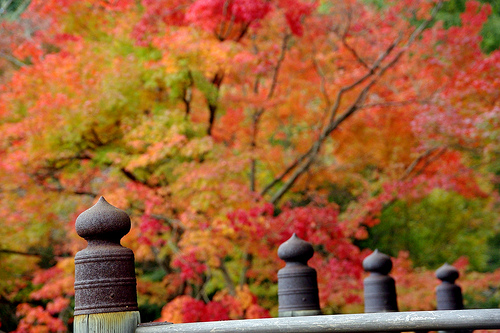 常寂光寺