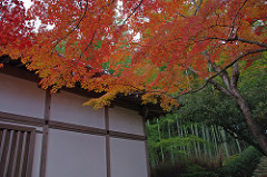 常寂光寺