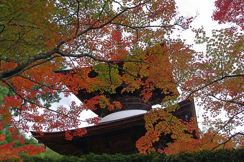 常寂光寺