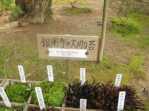 ginkakuji (9)