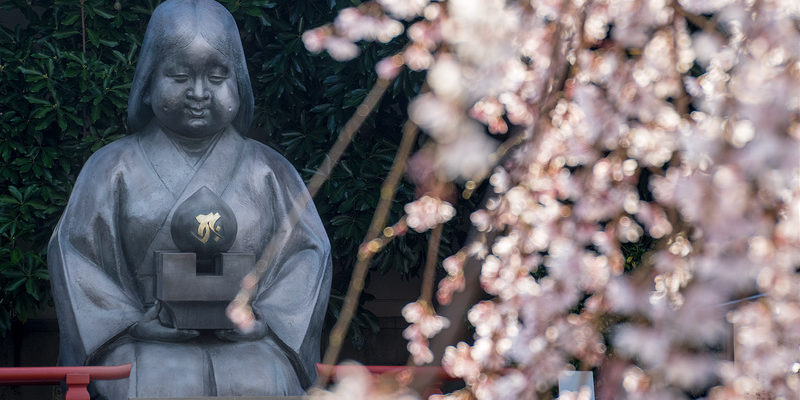 阿亀桜