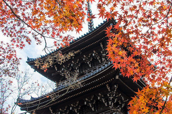紅葉の額縁