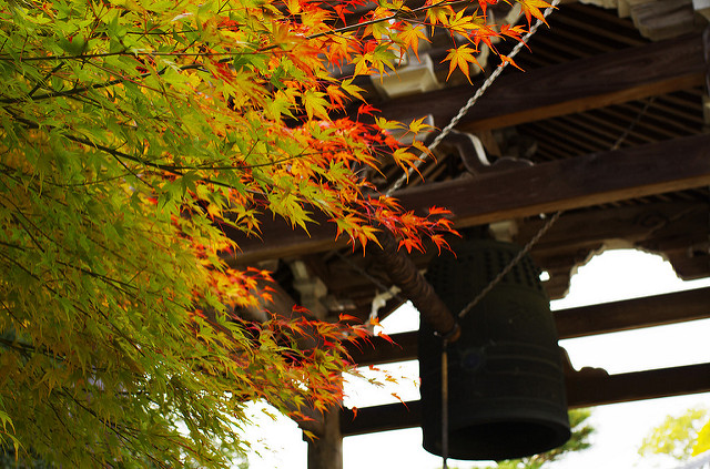 光明寺の紅葉