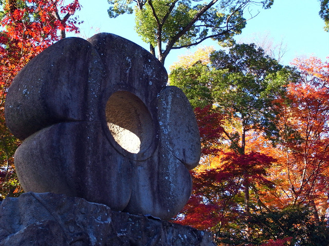 天神さんの大銀杏