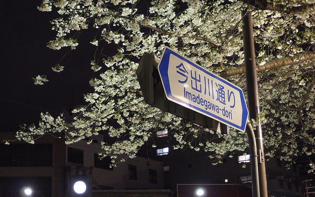 ウォーキングと夜桜